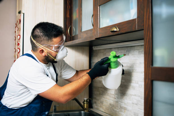 Best Cockroach Control Services  in Pine Knoll Shores, NC