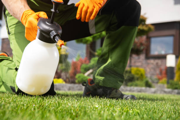 Best Pest Prevention Services  in Pine Knoll Shores, NC