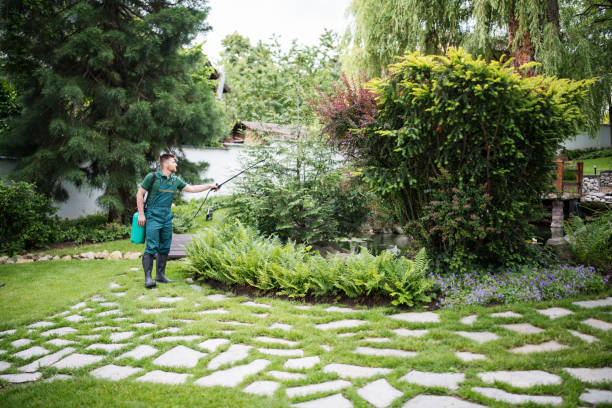 Best Exterminator Services  in Pine Knoll Shores, NC