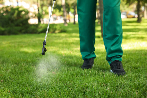 Best Local Pest Control Services  in Pine Knoll Shores, NC