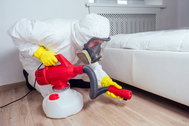Best Residential Pest Control  in Pine Knoll Shores, NC