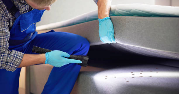 Professional Pest Control in Pine Knoll Shores, NC