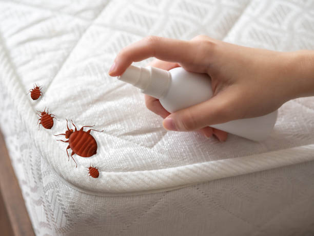 Best Best Pest Control Companies  in Pine Knoll Shores, NC