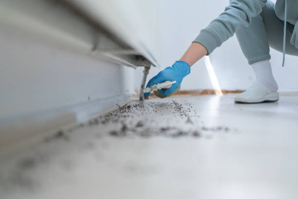 Pest Control Cost in Pine Knoll Shores, NC